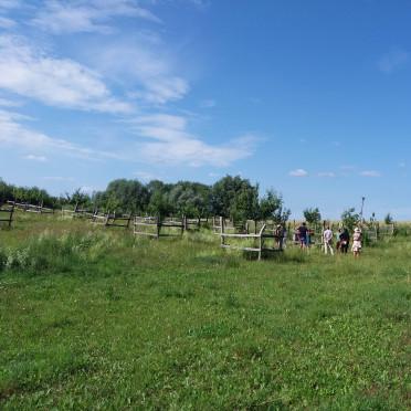 Hof Amalion Erdfest 2023_3