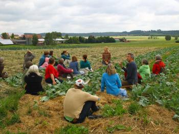 Quasi auf Augenhöhe mit den Früchten des Feldes, in diesem Falle Kohlrabi, erzählt Maya Luckoff, Landwirtin am Tempelhof, davon, wie es mit »aufbauender Landwirtschaft« möglich werden kann, Böden neu zu verlebendigen. Foto: Simon Harhues 