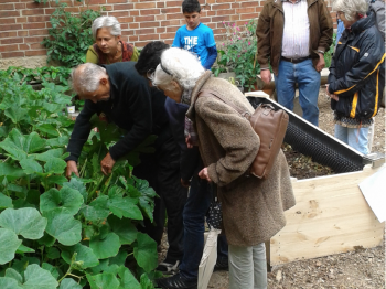 Die Schulgarten-Neuanfänge werden bestaunt. Foto: Paula Albers