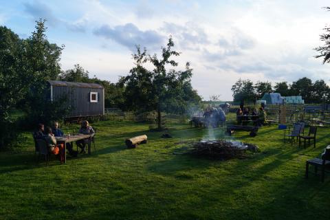 Gemütliches Essen und Austausch zwischen Schafen, Obstbäumen und Menschen. Foto: Kristian Lampen