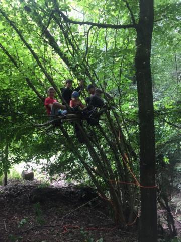 Freies Spielen im Wald. Foto: Nicole Kummer