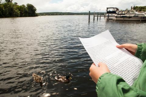 Endlich Sonne und trocken – schnell lesen, auch für die Enten ... Foto: Graziela Diez