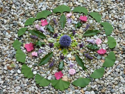 Friedensmantra- die Fülle der Kräfte der einzelnen Blütenessenzen, Formen und Farben, strahlen beseelte Kraft aus. Foto: Karin Emmerdorfer Friedensmantra- die Fülle der Kräfte der einzelnen Blütenessenzen, Formen und Farben, strahlen beseelte Kraft aus. Foto: Karin Emmerdorfer