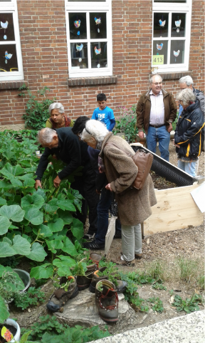 Die Schulgarten-Neuanfänge werden bestaunt. Foto: Paula Albers