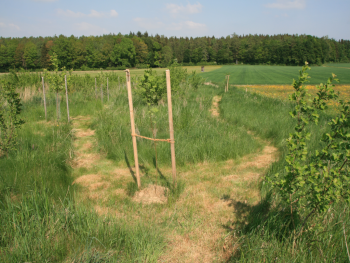Foto Rudolf H. Ende