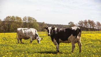 Slow Food Sachsen
