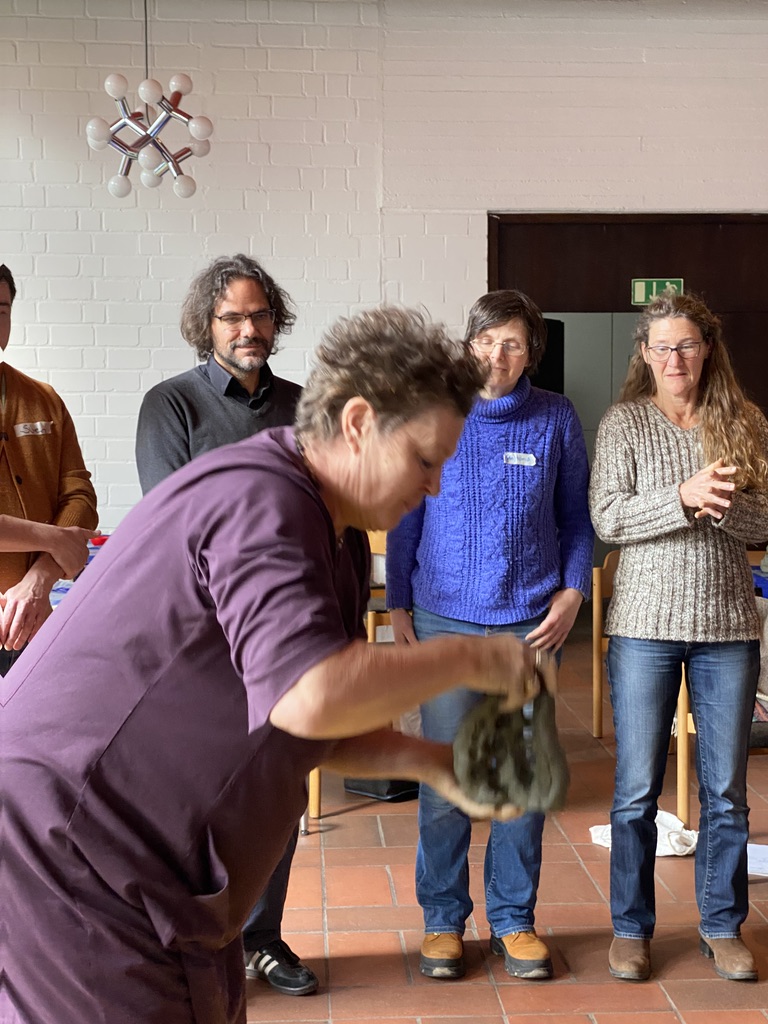 Betrachtung und Austausch